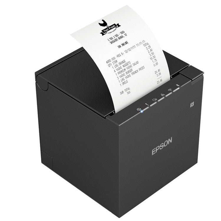 Epson C31CK51022