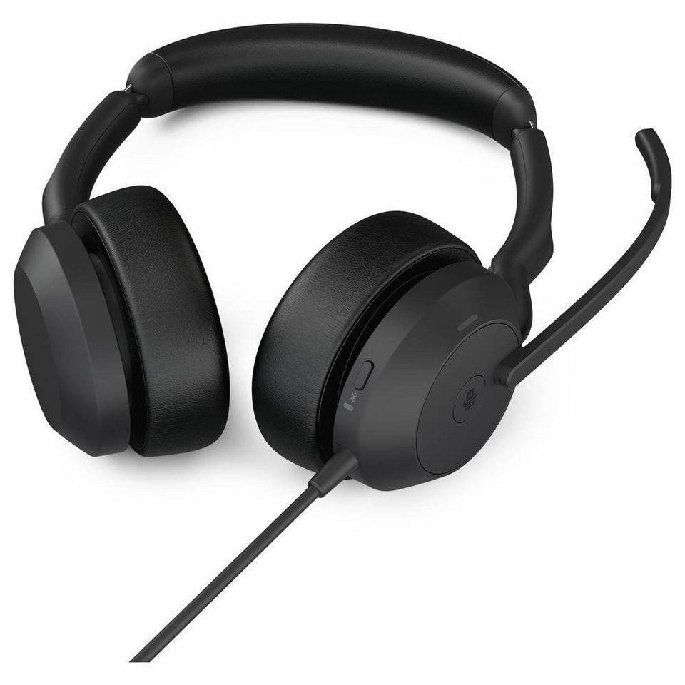 Jabra 25069-999-899