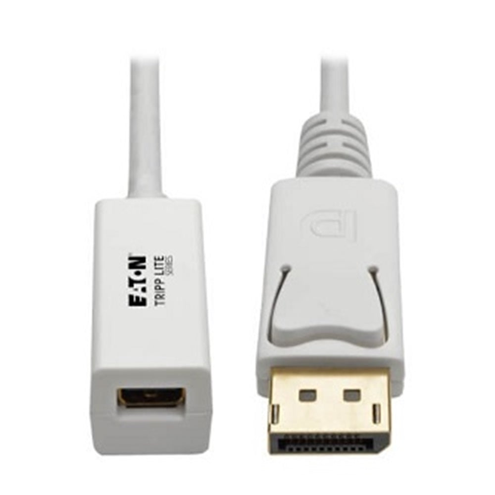 Eaton P134-06N-MDP DisplayPort to Mini DisplayPort Adapter Video Converter , 4K 60 Hz (M/F), 6 in. (15.2 cm)